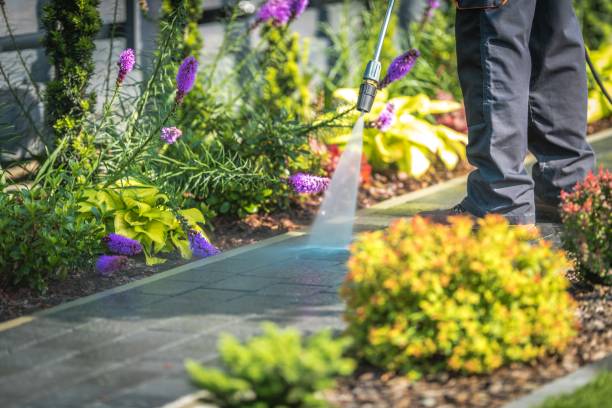 Best Driveway Pressure Washing  in Lake Mary, FL